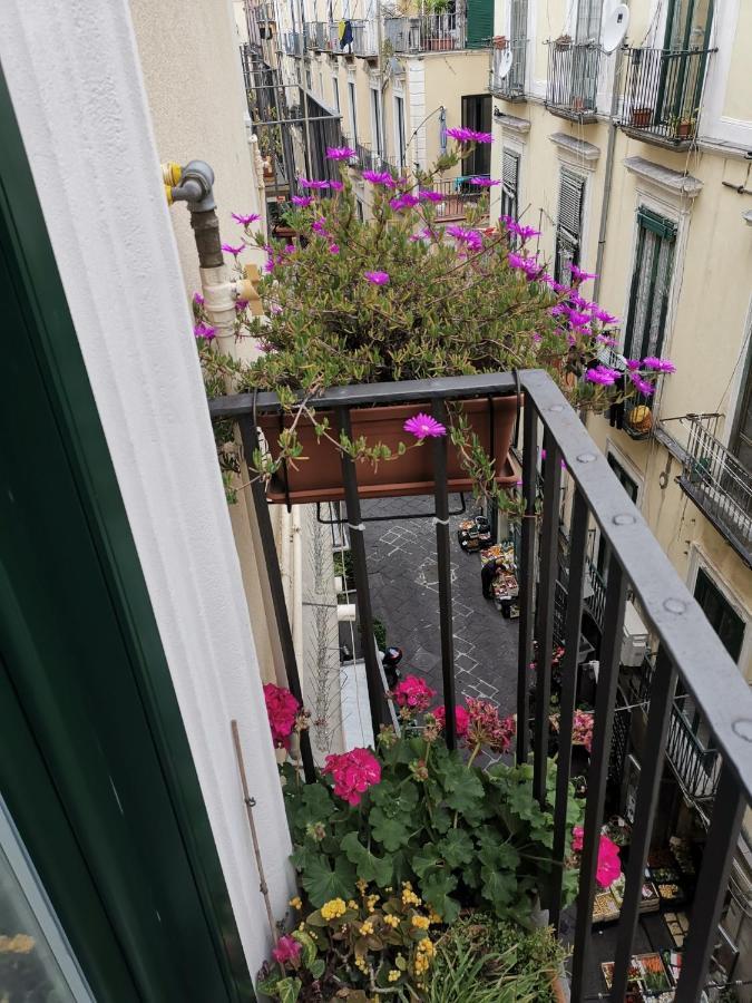 Appartement Le 13 Fontane à Salernes Extérieur photo